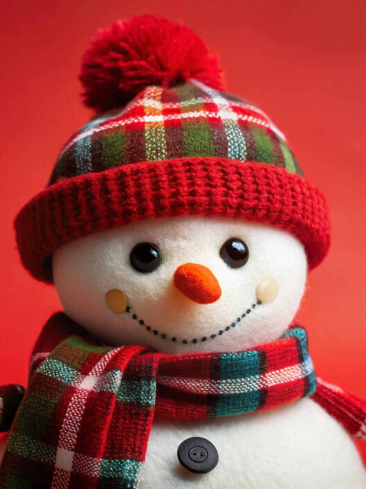 holiday season, if you are on dialysis, reduce stress