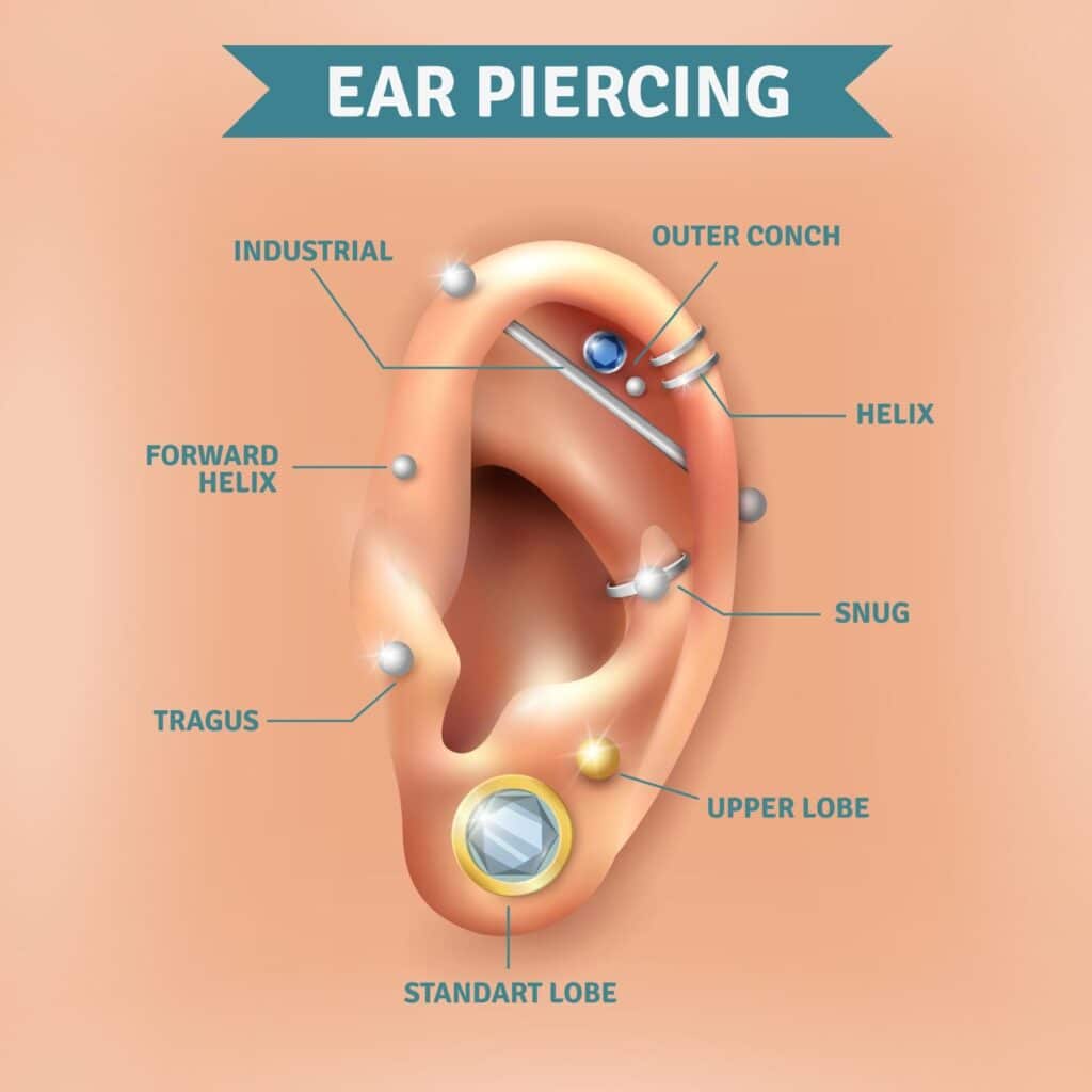 well labelled ear showing daith piercings jewelry